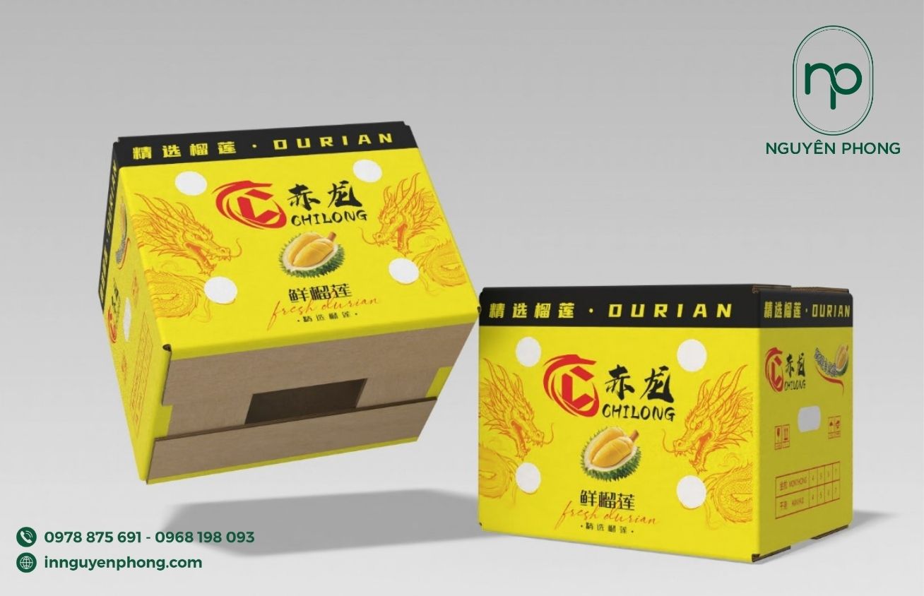 In thùng carton đựng sầu riêng tại TP.HCM đẹp